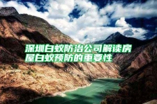 深圳白蟻防治公司解讀房屋白蟻預(yù)防的重要性